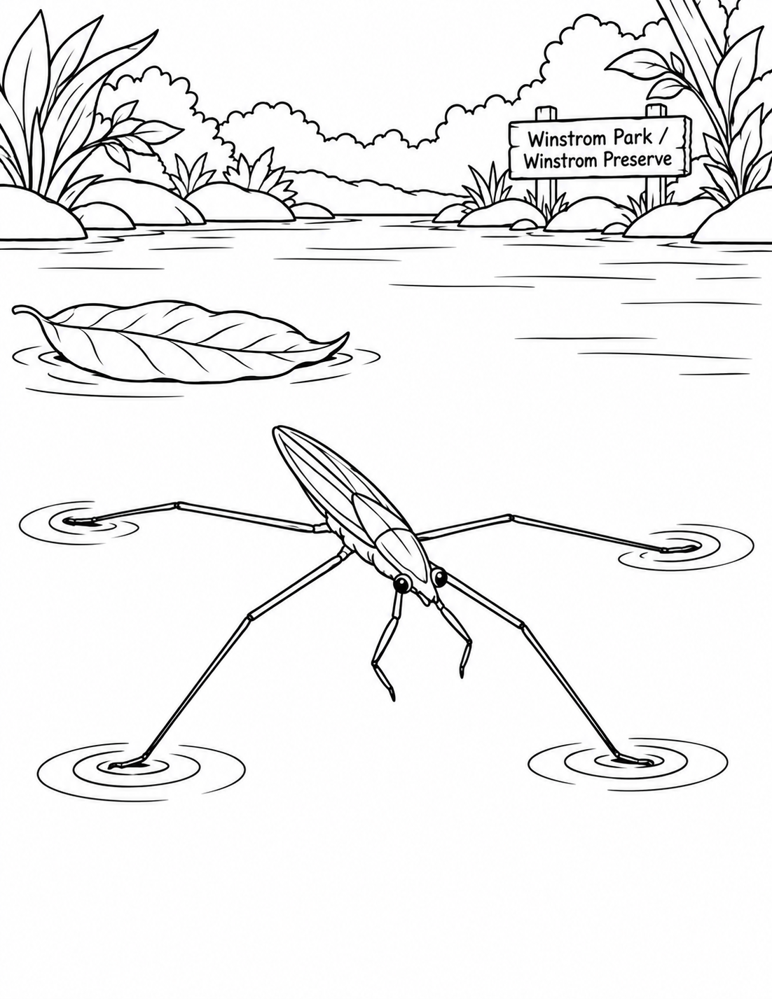 A tiny water strider seems to stand on dimples in a broad quiet creek surface.