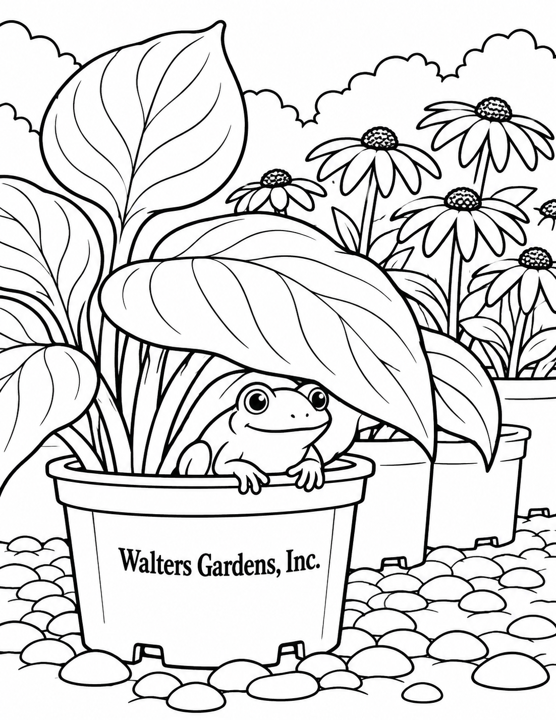 A frog rests under one broad hosta leaf, with a coherent stem and a few large leaf veins.